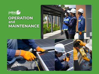 Palma O&M – Hiệu suất được định hình từ vận hành chuẩn mực